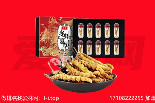 兴安盟科尔沁右翼中旗回收虫草.jpg